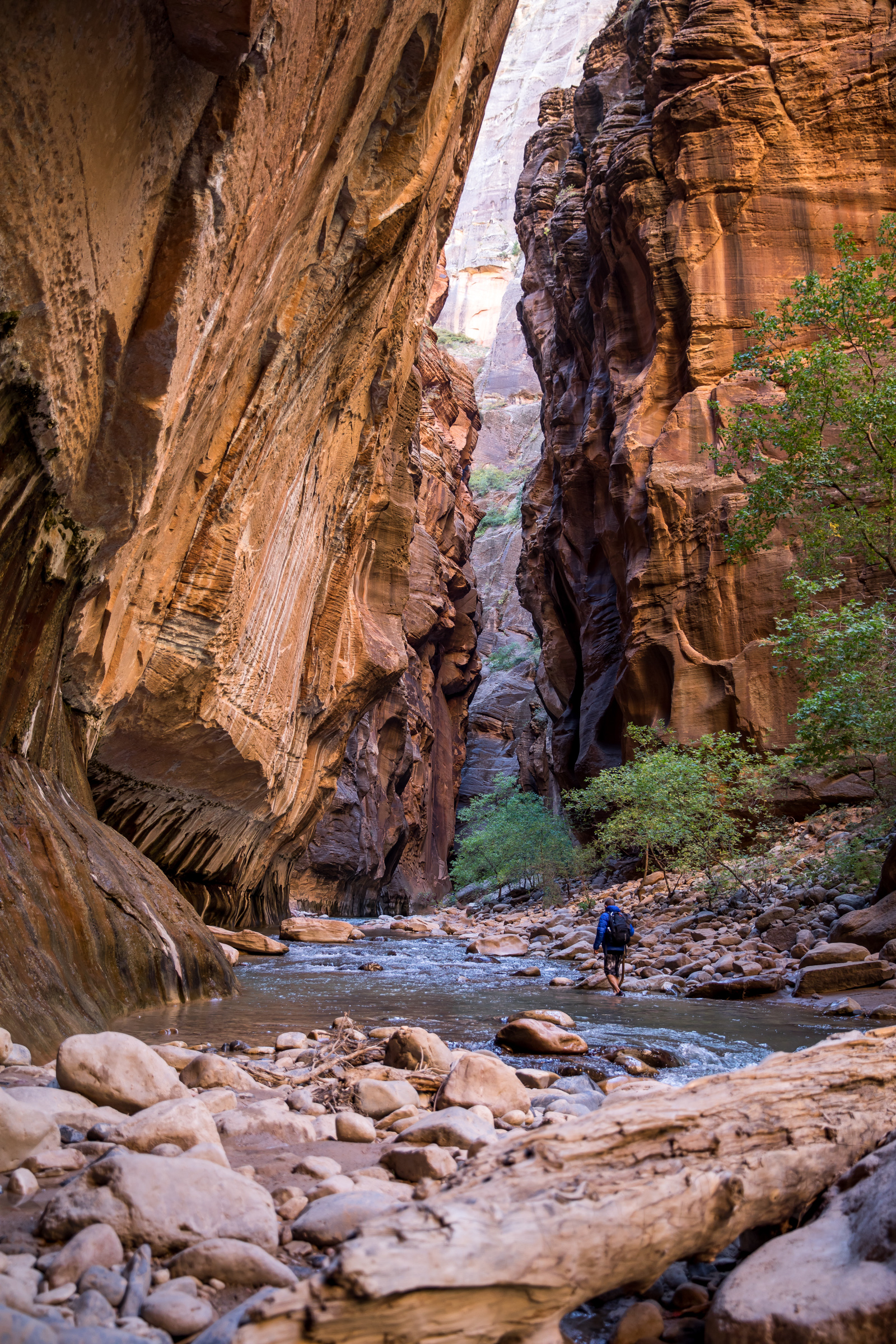 JASON SPETH ADVENTURE 31